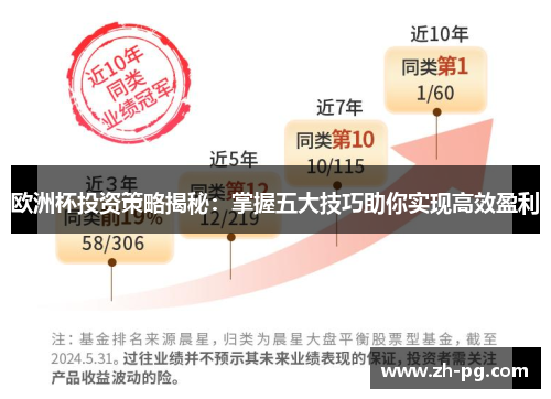 欧洲杯投资策略揭秘：掌握五大技巧助你实现高效盈利