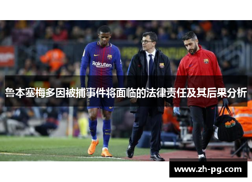 鲁本塞梅多因被捕事件将面临的法律责任及其后果分析