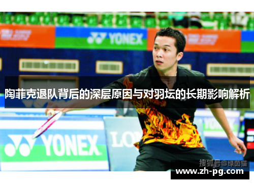 陶菲克退队背后的深层原因与对羽坛的长期影响解析